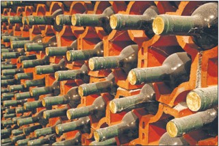 Na winie można dobrze zarobić, ale najpierw trzeba sporo wydać