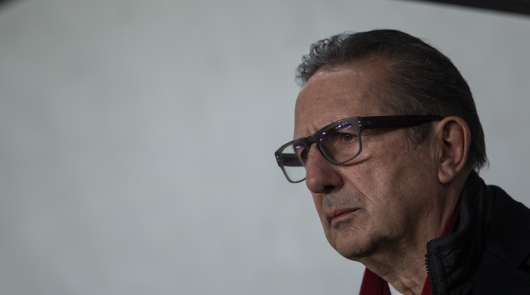 Georges Leekens /Fotó: AFP