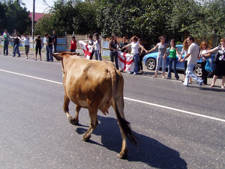 1 września 2008 r. Mieszkańcy Gruzji wyszli w całym kraju na ulice, by zaprotestować przeciwko polityce Rosji