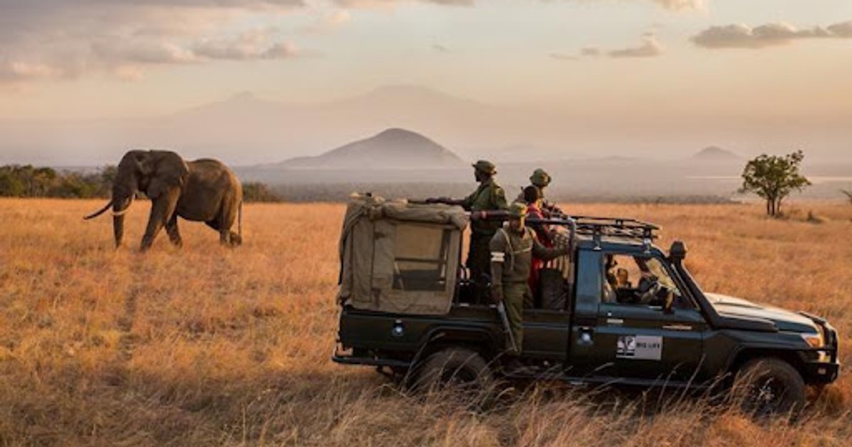Africa's wildlife rangers gear up for 2022 wildlife ranger challenge - Vimarsana News