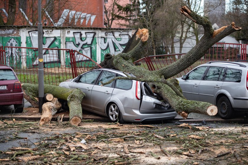 Szalejąca wichura w Szczecinie i w okolicach