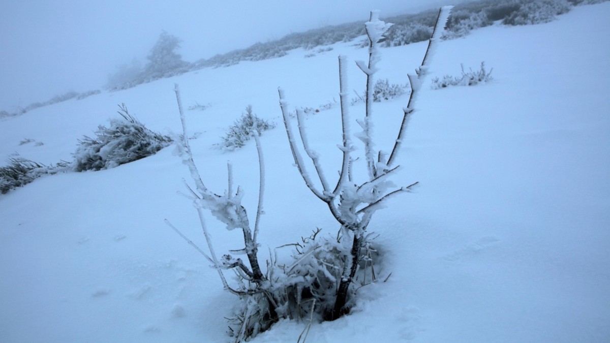 Uwaga na szlakach w Bieszczadach! Zlodowaciały śnieg w górach. Nawet 50 cm
