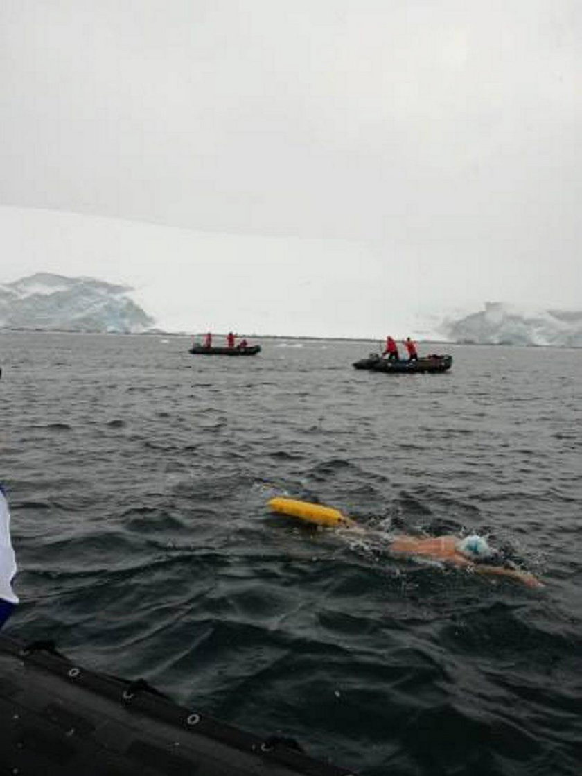 Udało się! Polak przepłynął 1 km na Antarktydzie!