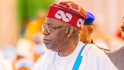 Afenifere congratulates Tinubu, advises him to keep his promises