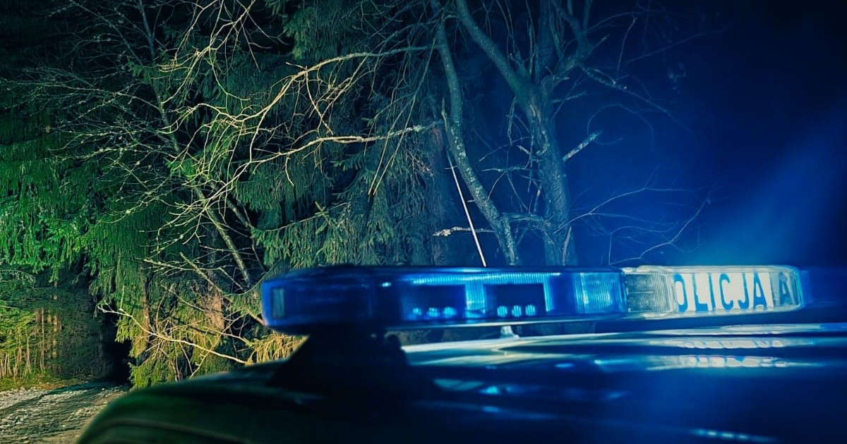 Kierowca autobusu jak z horroru. Niewiarygodne, co zrobił turystce pod Zakopanem