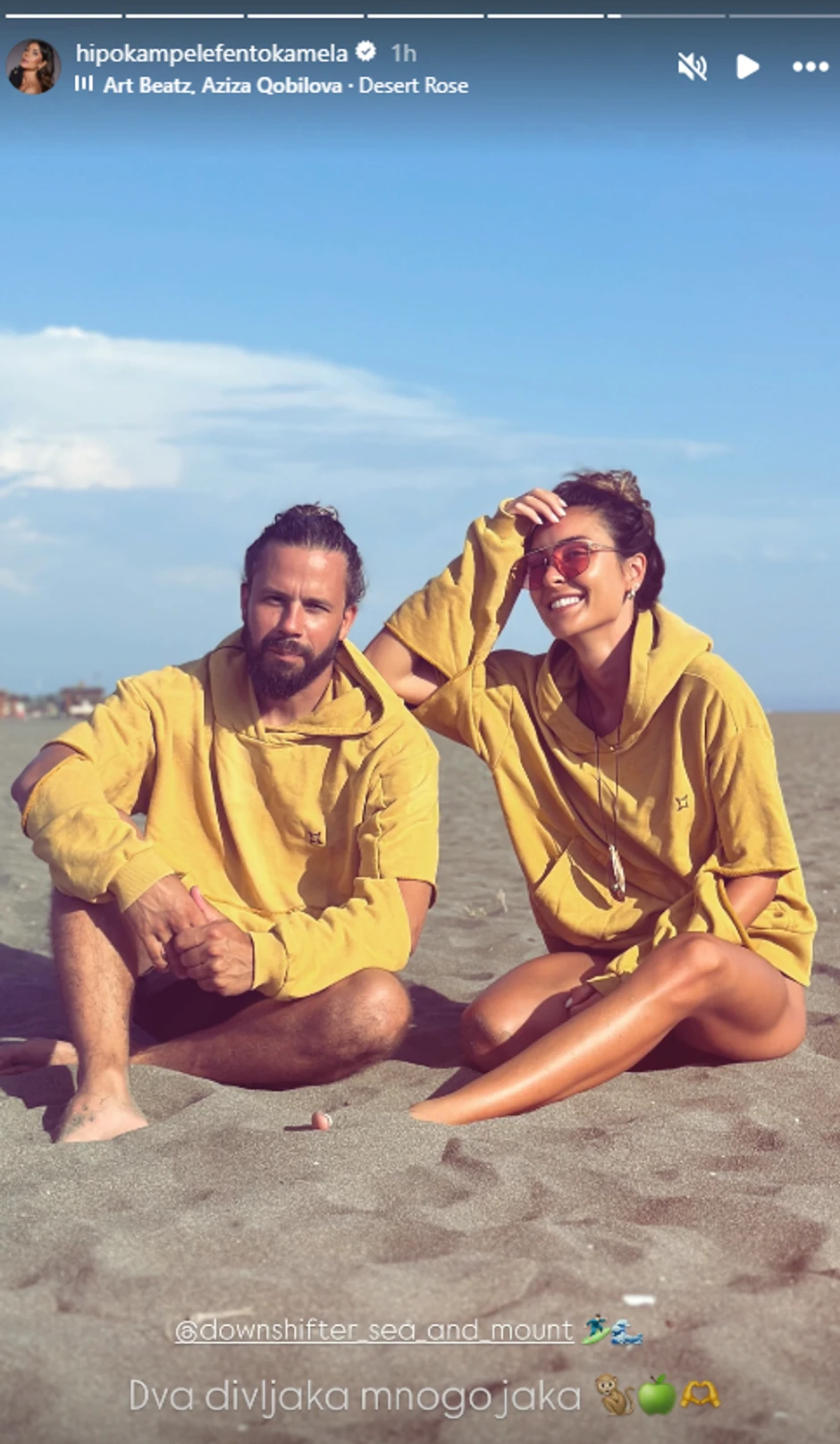 Dragana Mićalović objava