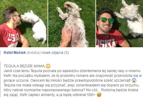 Rafał Maślak na Facebooku