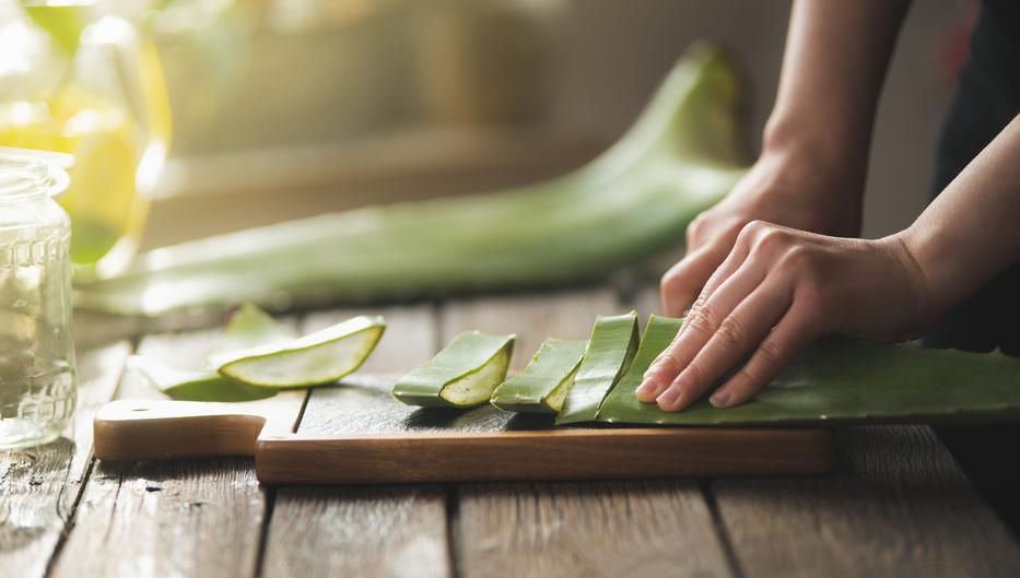 Nem is hinnéd, de ennyi mindenre jó az aloe vera. Fotó: Getty Images