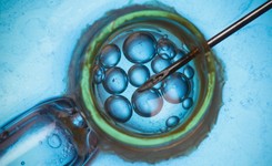 To działa! 43 ciąże po pół roku funkcjonowania programu in vitro w Łodzi