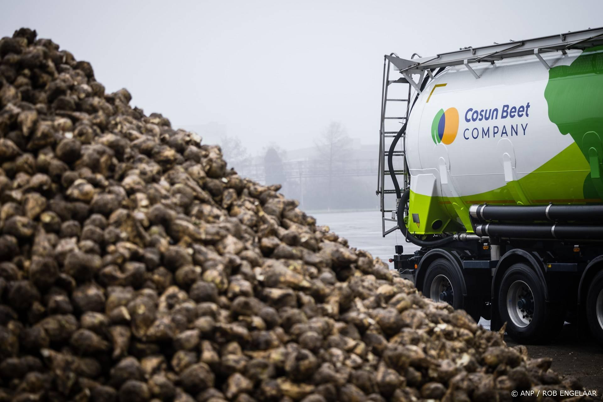 Paradox bij Royal Cosun - uitstekende oogst zorgt juist voor dramatische winstdaling