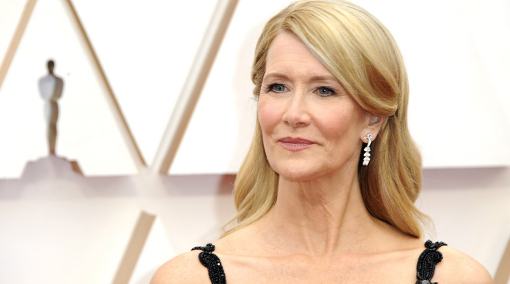 Laura Dern fájdalmas sorokkal búcsúzott kedvenc halától / Fotó: Northfoto