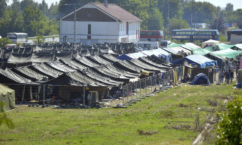 Namioty przygotowane dla uchodźców przemierzających granicę serbsko-węgierską