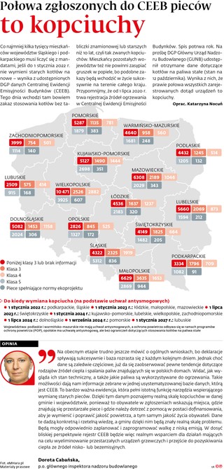 Połowa zgłoszonych do CEEB pieców to kopciuchy