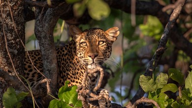 Niezwykły serial w telewizji. "Sympatie widza zmieniają się w trakcie"