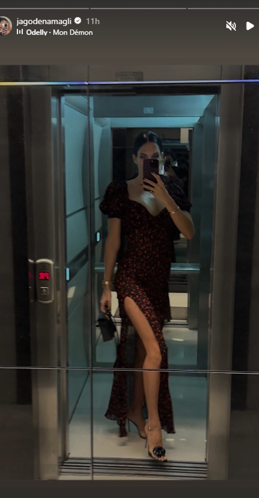 Jelisaveta Orašanin