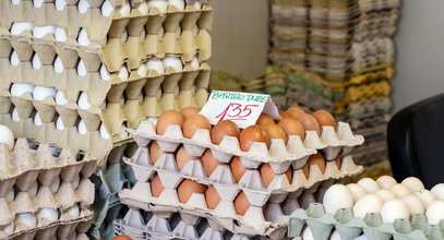 Dlaczego jaja  przechowuje się w sklepach poza lodówkami? Chodzi o nasze zdrowie