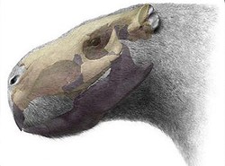 Naukowcy znaleźli kilkutonowego szczura