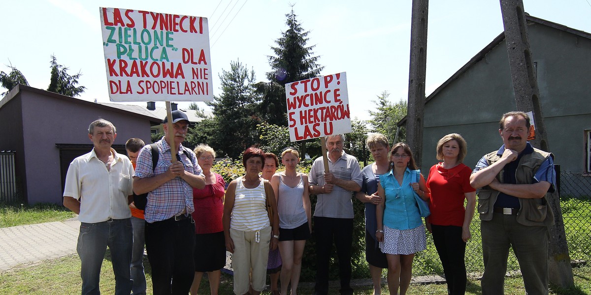 SZAMBO WYCINANIE LASU SPALARNIA NZ PROTEST