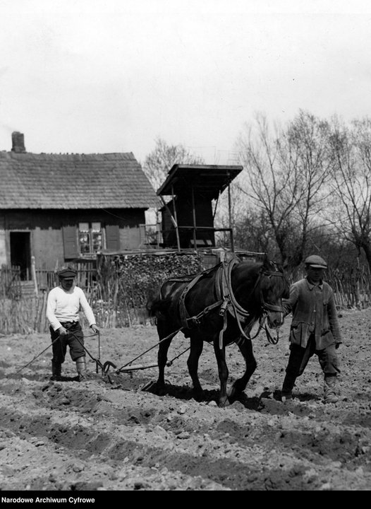 Wieś polska w okresie II RP