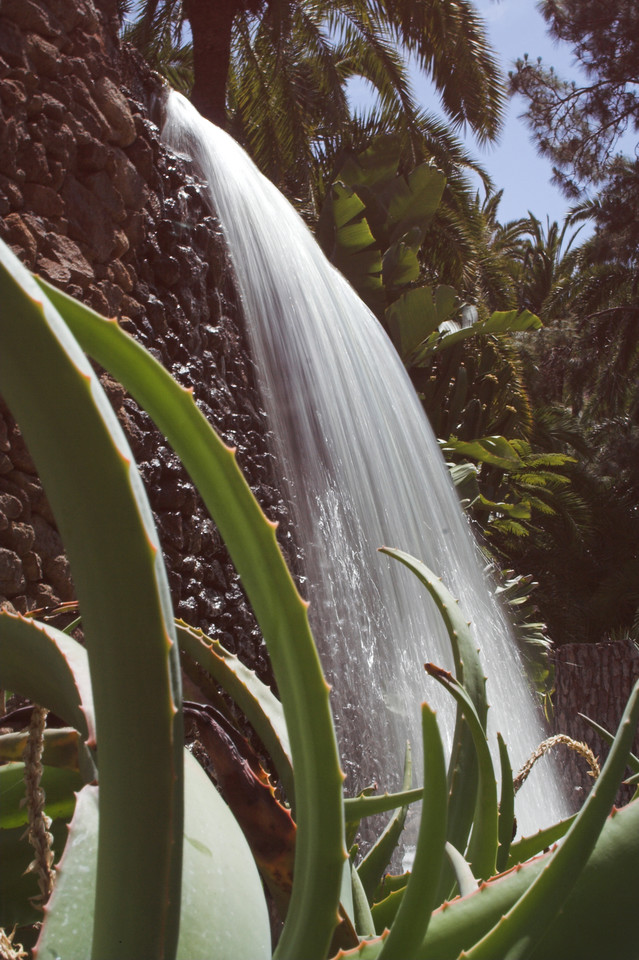 Palmitos, Gran Canaria