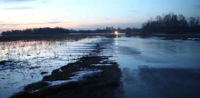 Sytuacja jest alarmująca. Wody wciąż wzbierają, zagrożenie rośnie