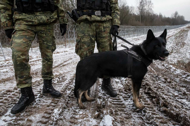 Patrol straży granicznej przy polsko-białoruskiej granicy w okolicach Minkowic