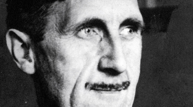 George Orwell 73 éve hunyt el / Fotó: Northfoto