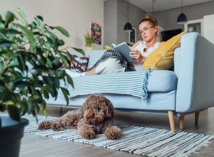 Így segíthet az olvasás a stresszes időszakokban című cikk nyitóképe