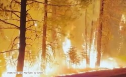 Kalifornia walczy z pożarami lasów. Ogień zajął już ponad 75 tys. hektarów