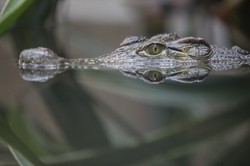 Krótki i prosty QUIZ z wiedzy ogólnej. Mniej niż 9/9 to wstyd