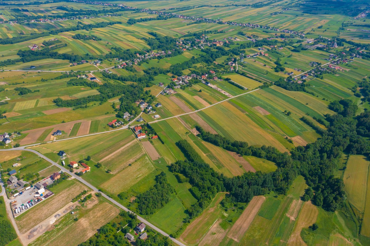 Unijną politykę rolną powinny prowadzić samorządy