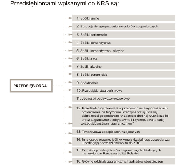 Przedsiębiorcy wpisani do KRS