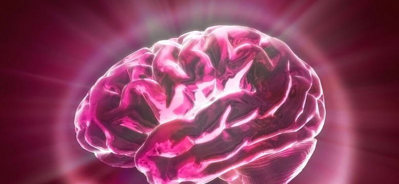 Amerykanie chcą stworzyć mapę mózgu