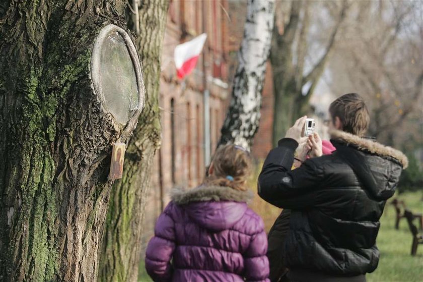 Czy to jest Matka Boska? 