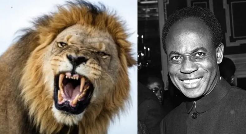 1958 video of Nkrumah and Haile Selassie playing with a live lion emerges