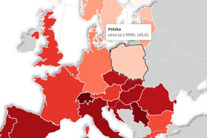 Polska z najtańszą energią w Europie. Wojna w Ukrainie to tylko jedna z przyczyn