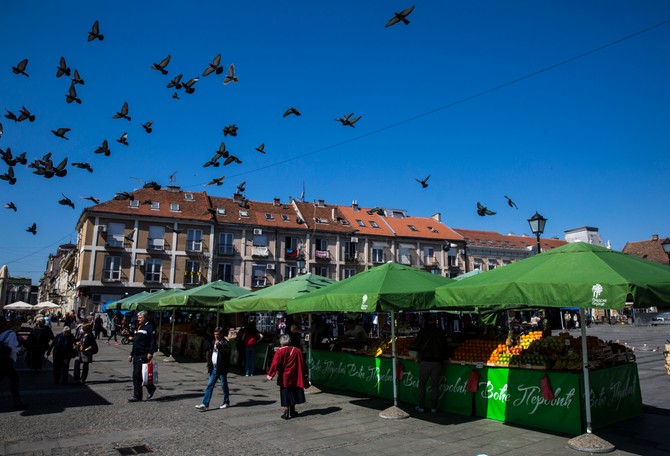 Sveža riba je i dalje zaštitni znak Zemunske pijace
