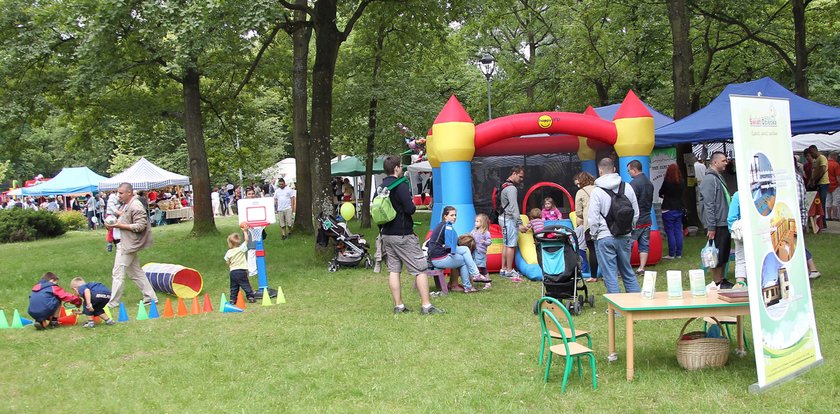 Gorący piknik na zielonej trawce