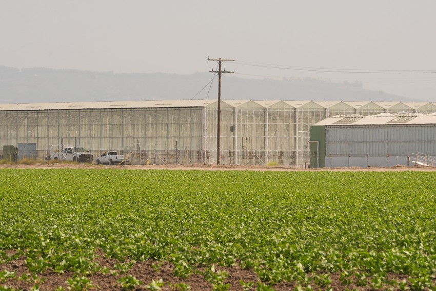 Farme Gles haus dan nakon racije 11. jula