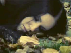 Szwedzcy ponuracy pokazali depresyjny klip