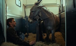 Rozpoczęła się Kinoteka - najważniejszy w Wielkiej Brytanii festiwal polskiego kina