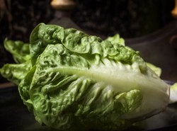 Prosty trik ogrodnika. Już nigdy nie kupisz sałaty w sklepie!