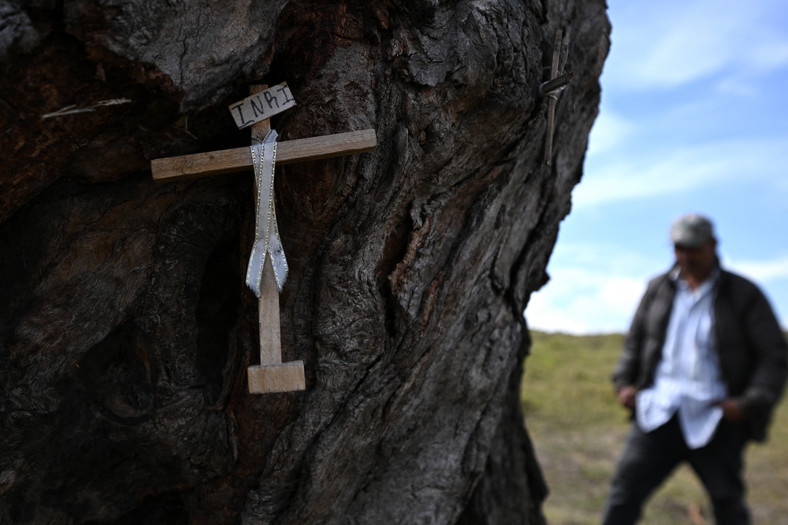 "Drzewo wisielca" (Palo del Ahorcado) w stolicy Kolumbii i jego mroczna legenda