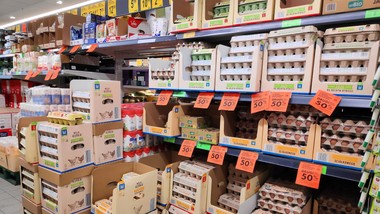 dobre jajka w bardzo niskiej cenie. promocja trwa tylko dwa dni