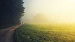 problem na południu polski. imgw wydał ostrzeżenie