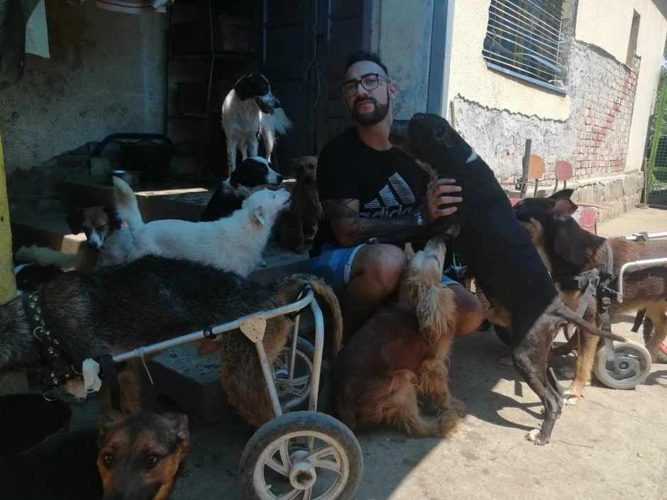 Jovica i njegovi drugari