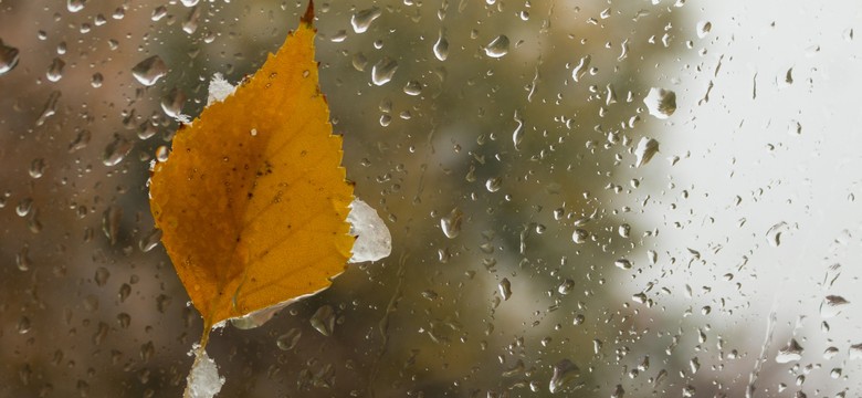 Deszcz ze śniegiem. Gdzie konkretnie? Prognoza pogody na niedzielę, 26 października