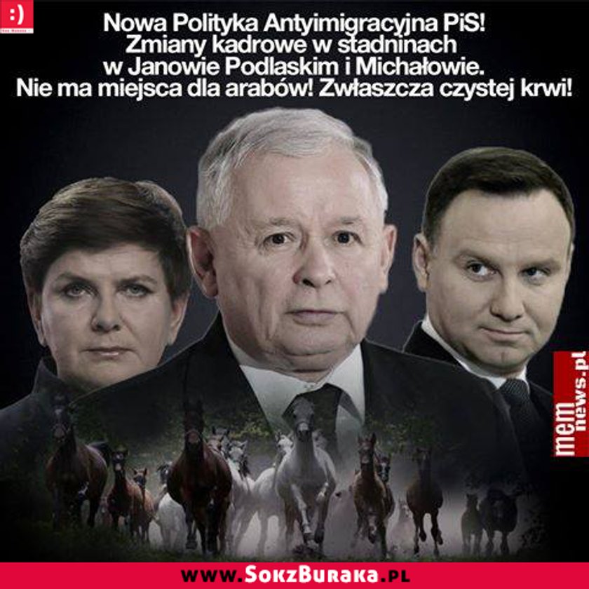 PiS wziął się za konie. Internet pęka ze śmiechu