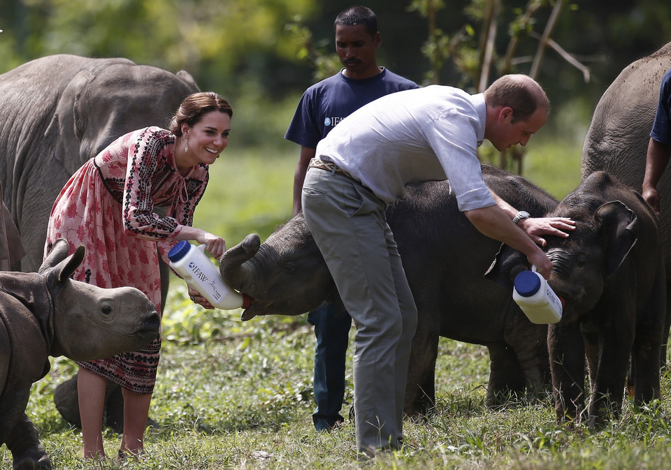 Księżna Kate Middleton i książę William karmią zwierzęta w Centrum Ochrony Przyrody w Indiach