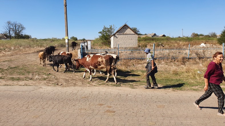 Wieś pod Chersoniem